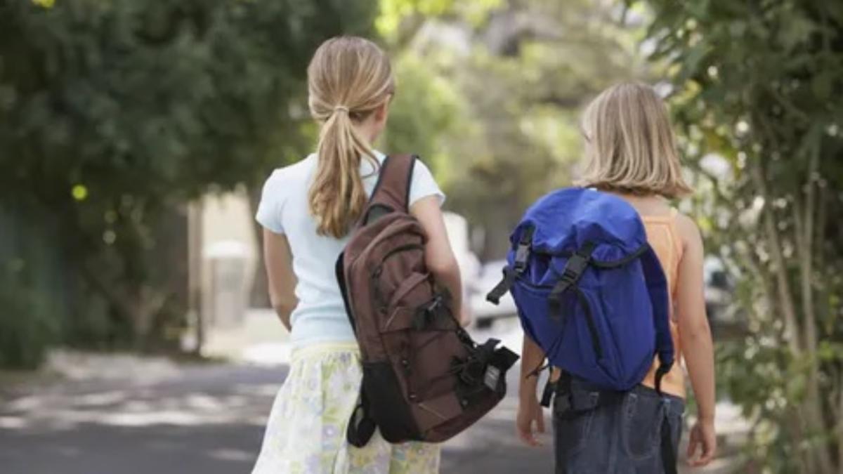 An școlar 2024-2025. Noi MODIFICĂRI în Statutul elevului şi în Regulamentul unităţilor de învăţământ. Ce spune ministrul Ligia Deca