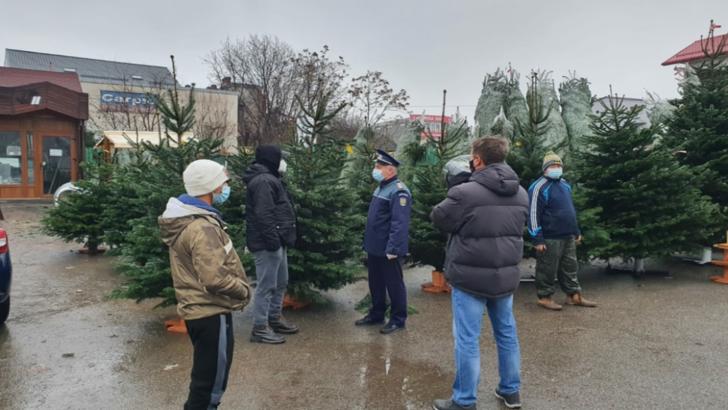 Zeci de pomi de Crăciun, confiscaţi la Craiova