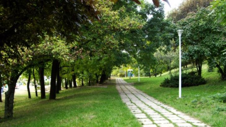 Culisele statului paralel: Aceeași mafie, interese diverse: cum s-a reprofilat de la spații verzi la gunoaie