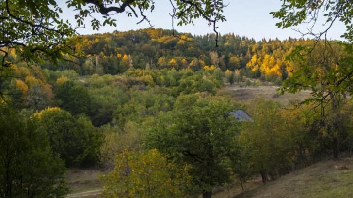 România, acaparată de caracatița Mossadului. Cine se află în spatele retrocedărilor cu cântec și cum au ajuns proprietățile românești pe mâna străinilor   