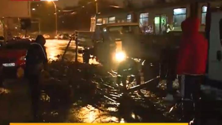 Vânt puternic în Capitală - Un copac a căzut și a distrus 4 mașini în zona Giulești