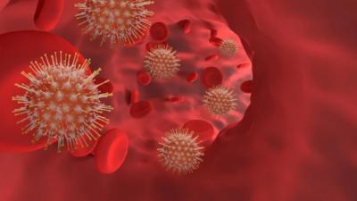 NIPAH, un nou VIRUS seamănă PANICĂ în rândul cercetătorilor: NU există tratament
