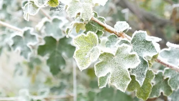 Prognoza meteo 30 ianuarie
