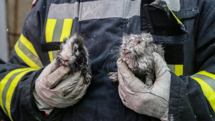 Incendiu puternic într-un bloc din Sectorul 6 al Capitalei. Intervenție „cu surprize” a pompierilor - Cine a fost salvat din flăcări Foto: ISU B-IF