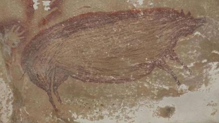 Prima pictură rupestră din lume, de 45.000 de ani, în Sulawesi, Indonezia Foto: advances.sciencemag.org