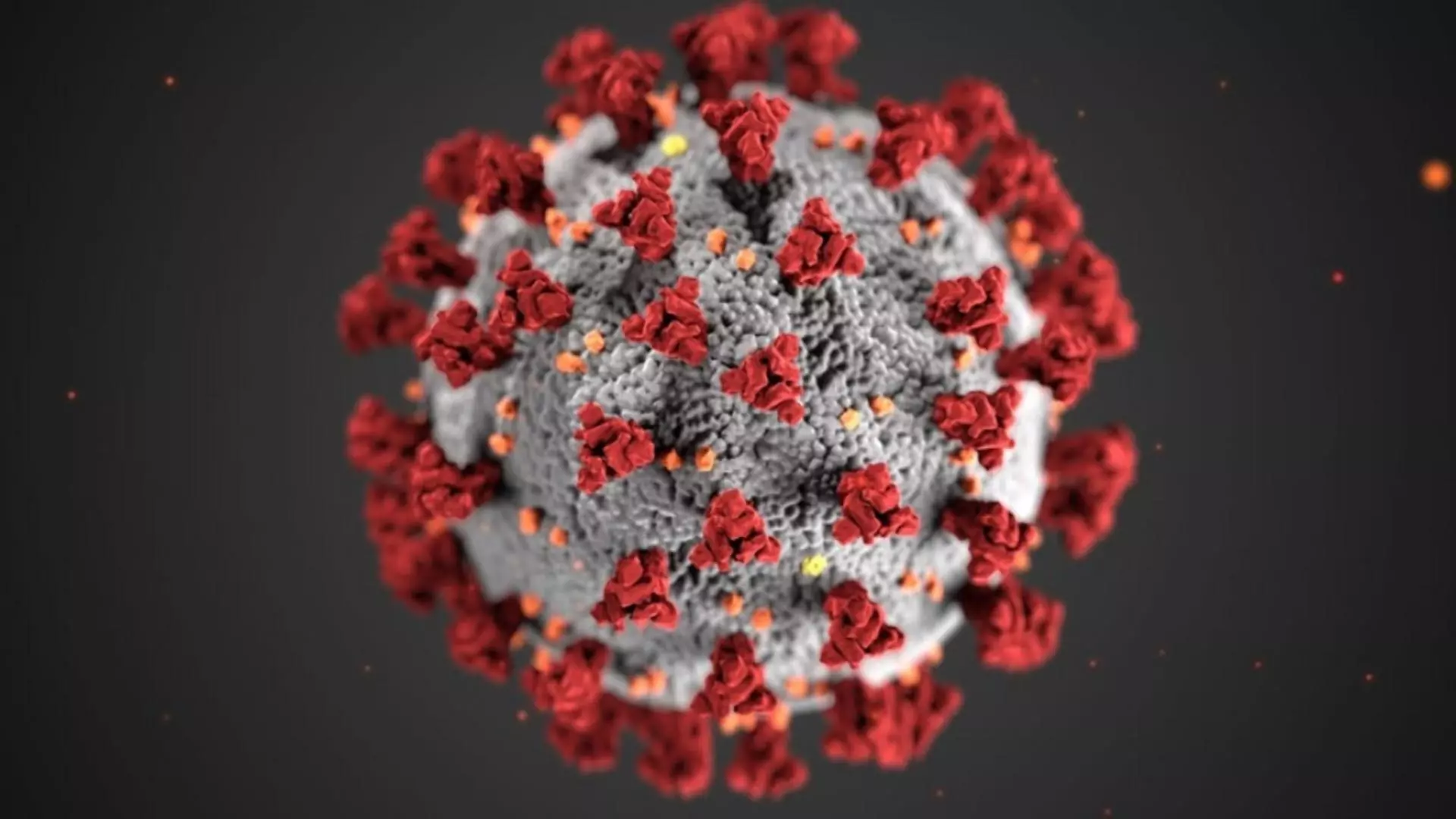 Date coronavirus - STS