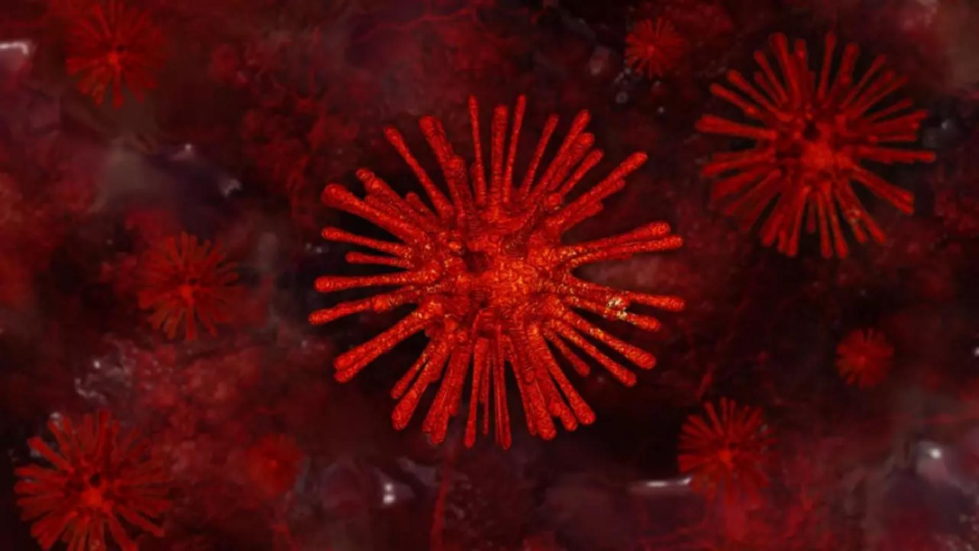 Bilanț coronavirus 8 februarie