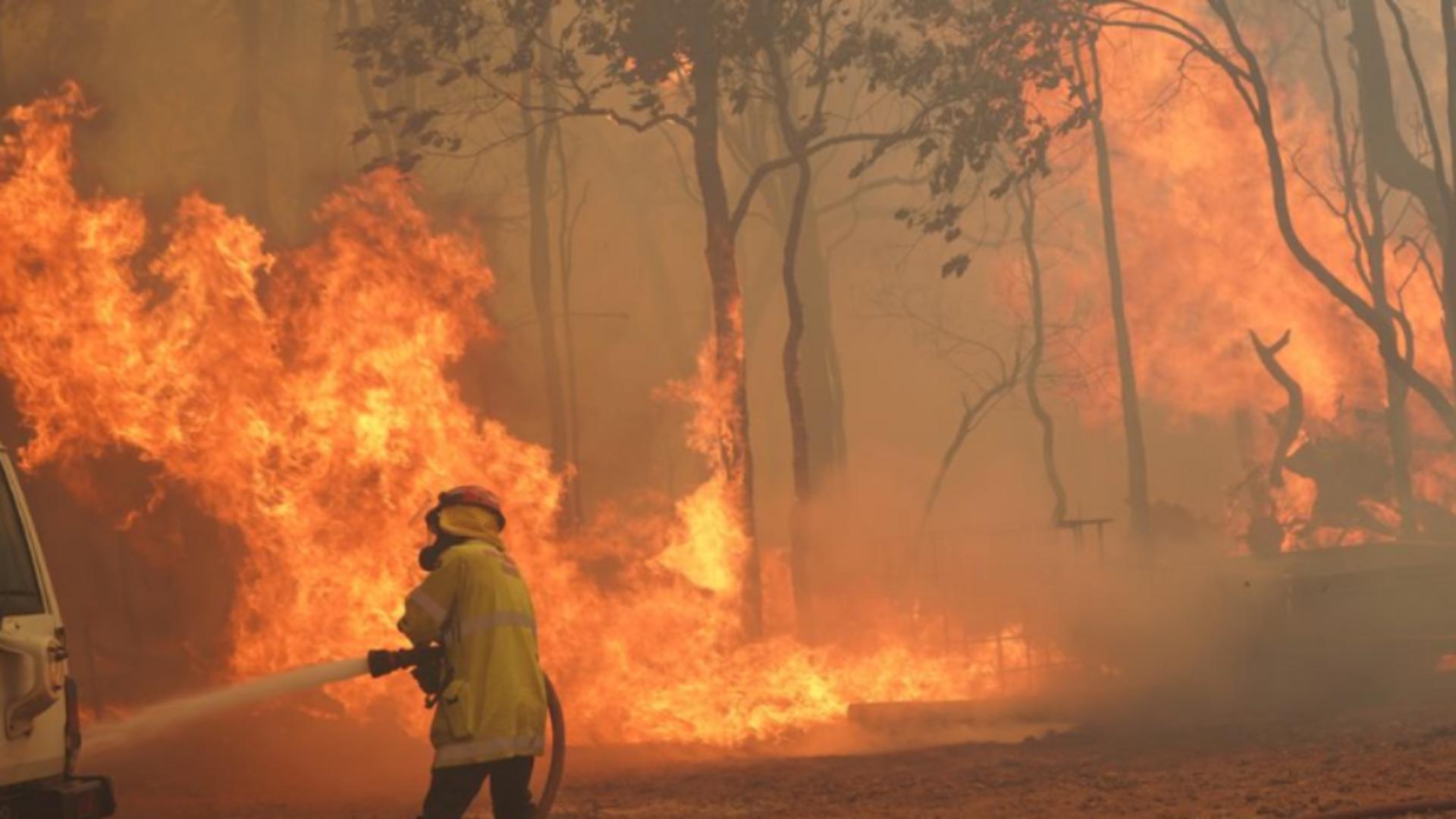 Incendii vegetatie Australia
