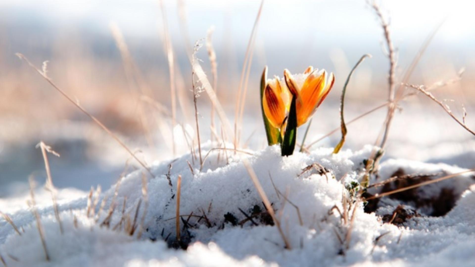 Prognoza meteo 18 februarie