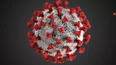 Bilanț coronavirus 23 februarie
