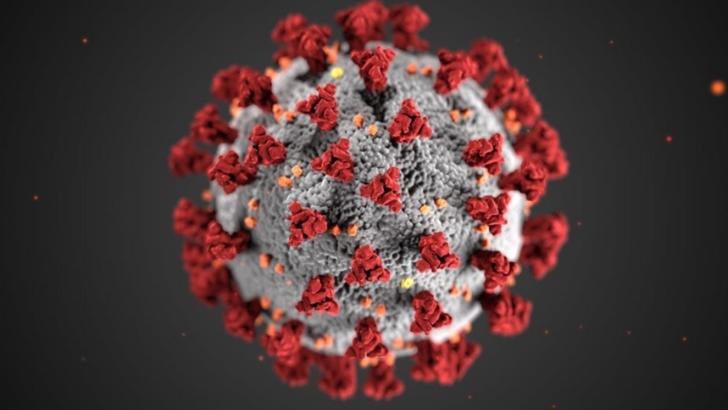 Bilanț coronavirus 23 februarie