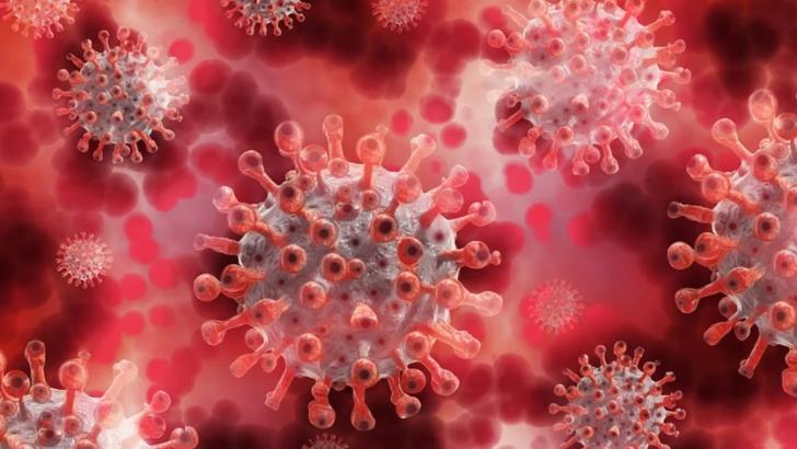 coronavirus Foto: Pixabay.com