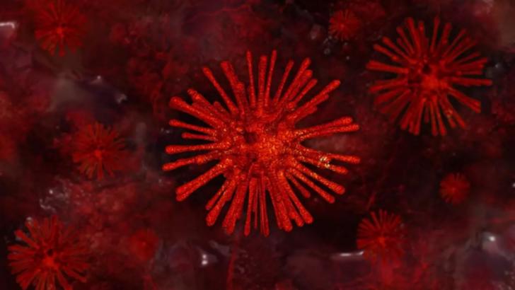 Coronavirus