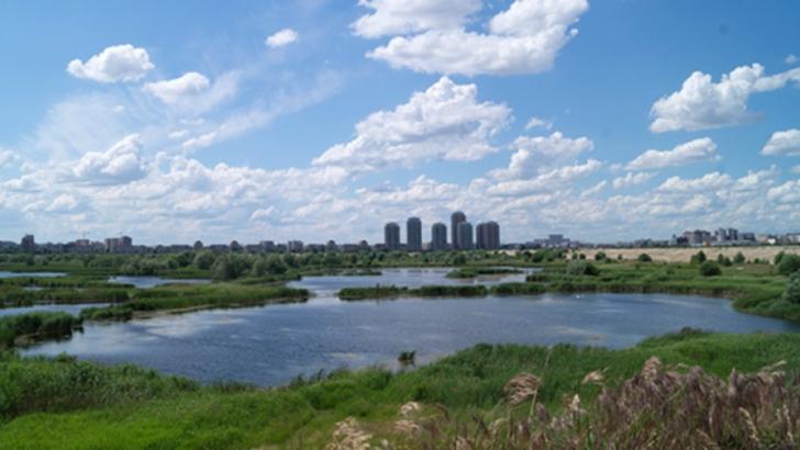 Parcul natural Văcărești