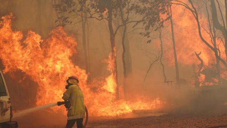 Incendii vegetatie Australia