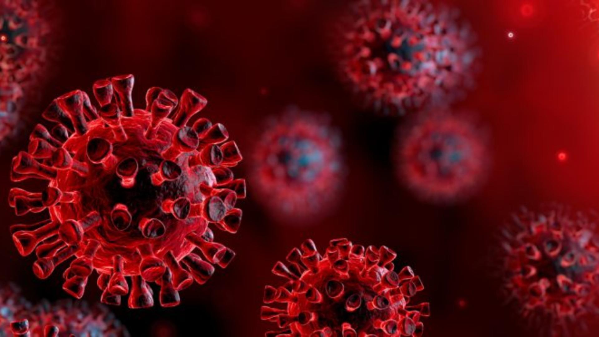 INSP, date despre cazurile de infectare cu noile tulpini ale coronavirusului