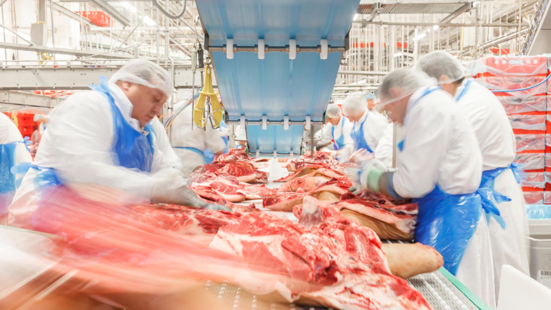 Crimă între români la abatorul celui mai mare producător de carne din Germania