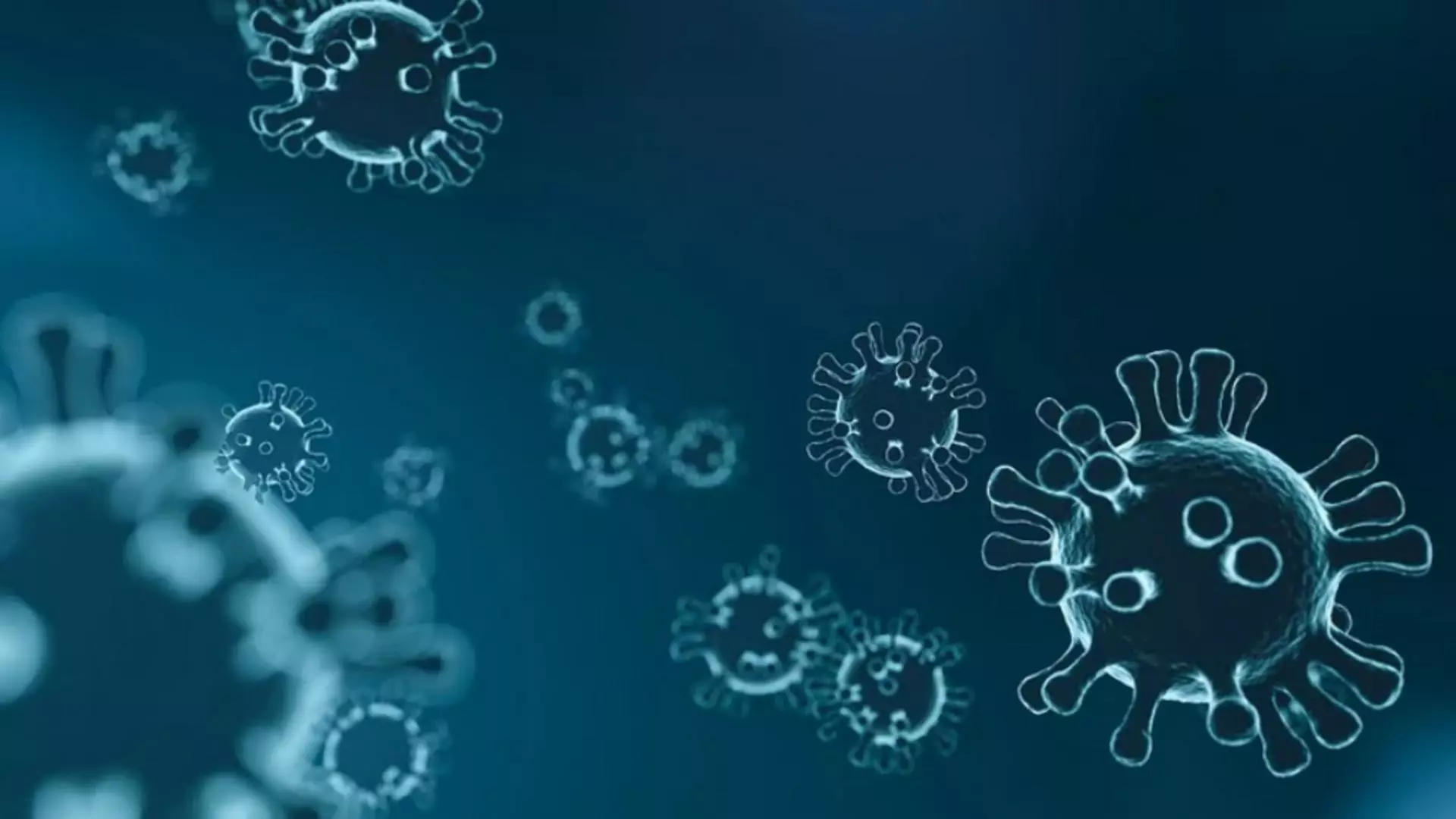 Cazuri noi de coronavirus