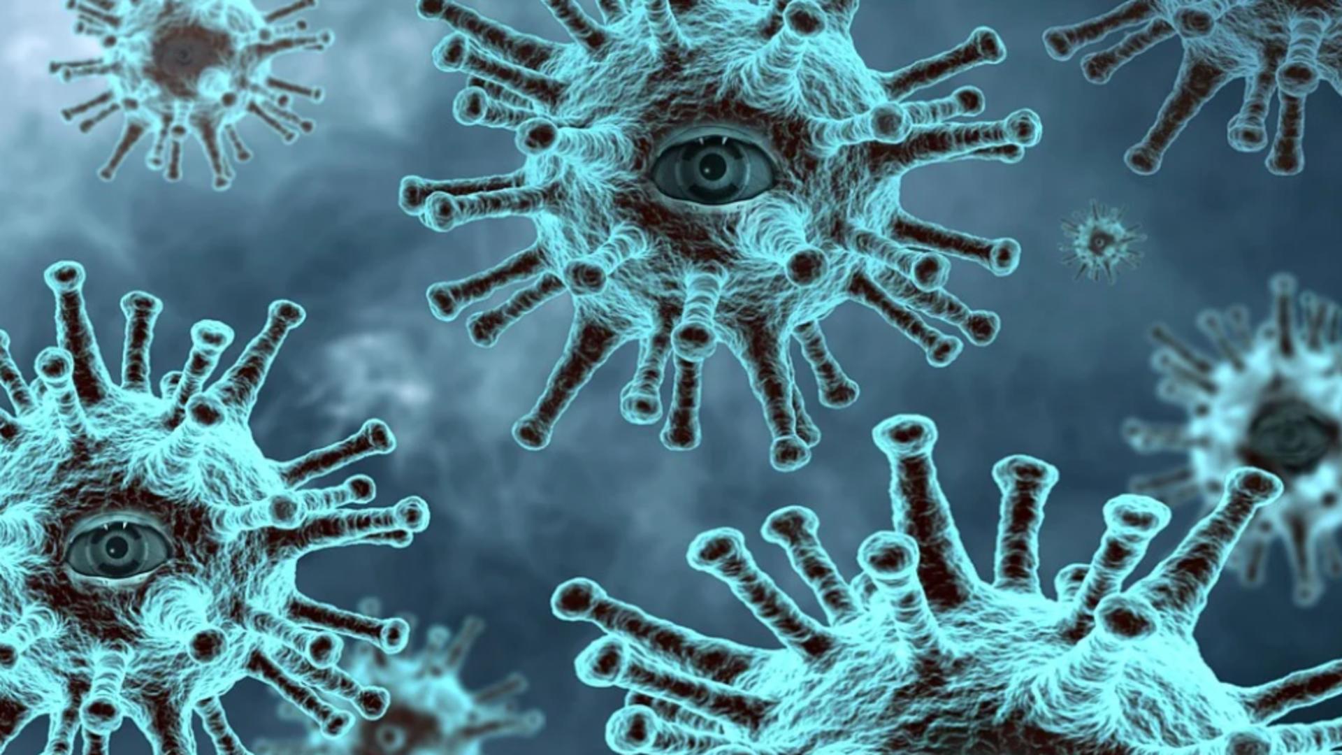epidemie coronavirus Foto: Pixabay.com