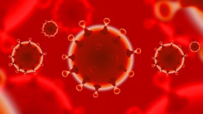 coronavirus Foto: Pixabay.com