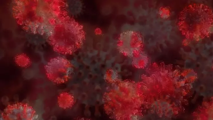 Bilanț coronavirus 28 martie