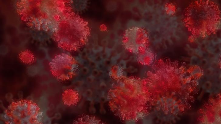 coronavirus Foto: Pixabay.com