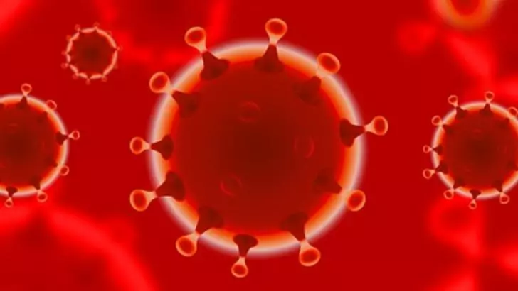 Coronavirus