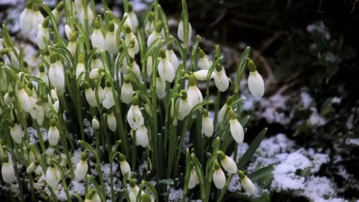 Un val de aer rece, însoţit de lapoviţă şi ninsori, pune stăpânire pe România