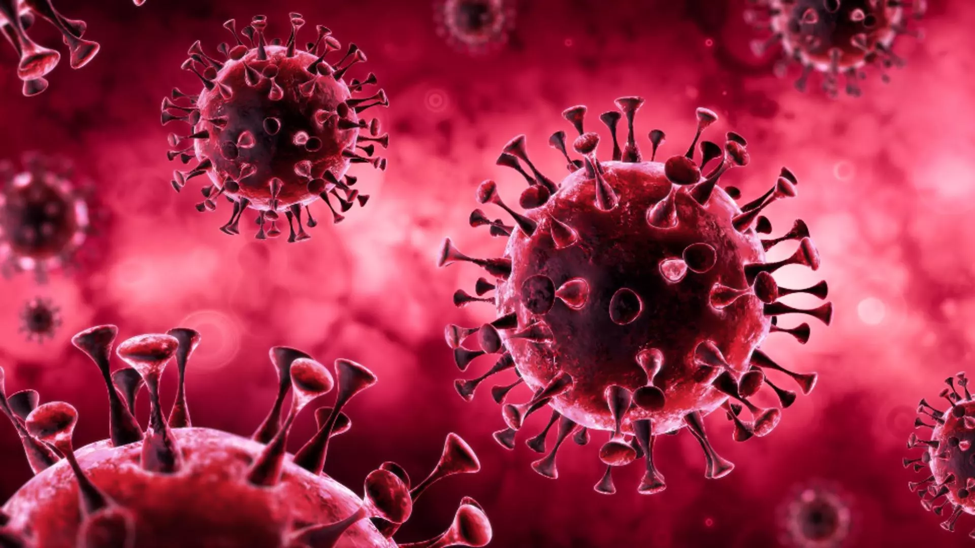 Noua tulpină de coronavirus