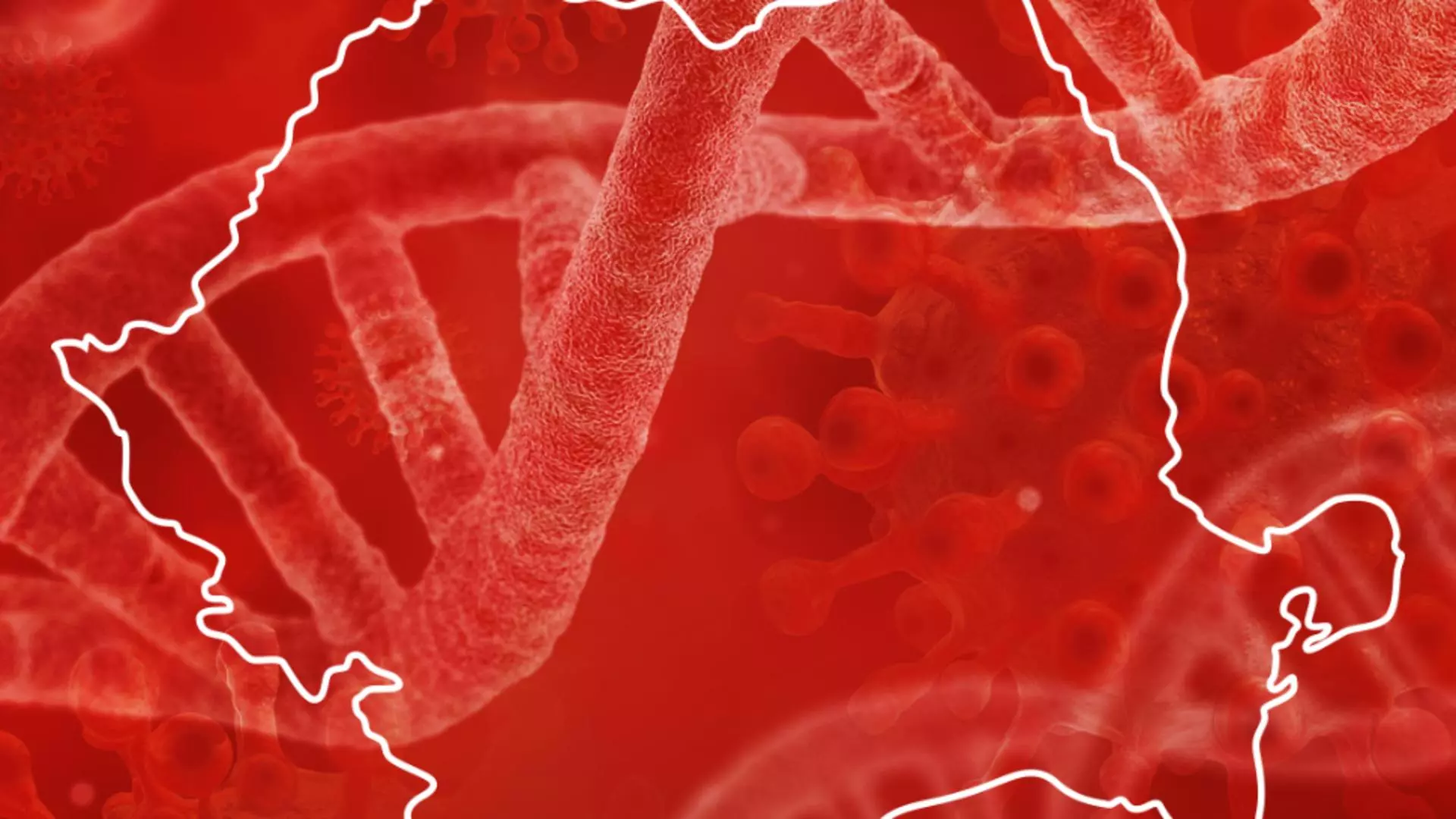 Bilanț coronavirus