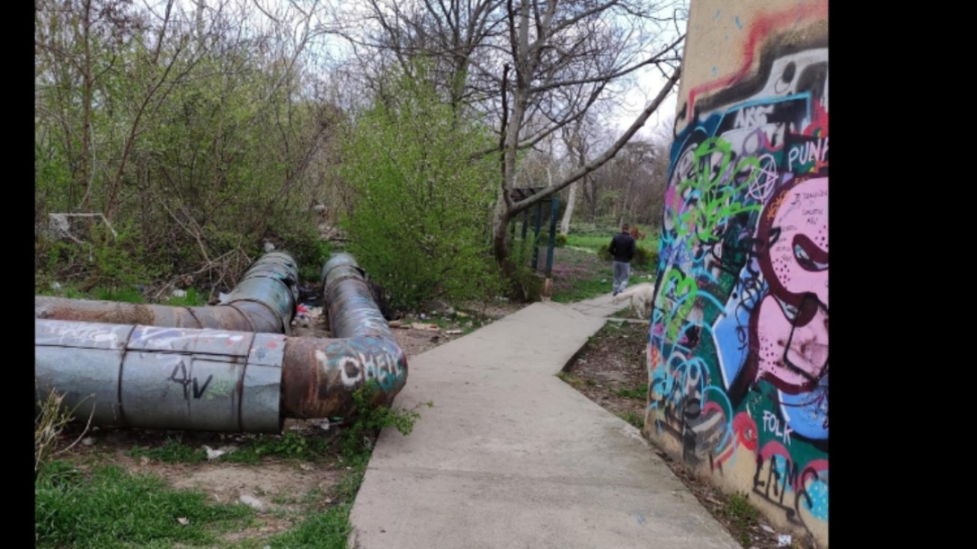 Parcul Botanic din Timișoara (sursă: Opinia Timișoarei)