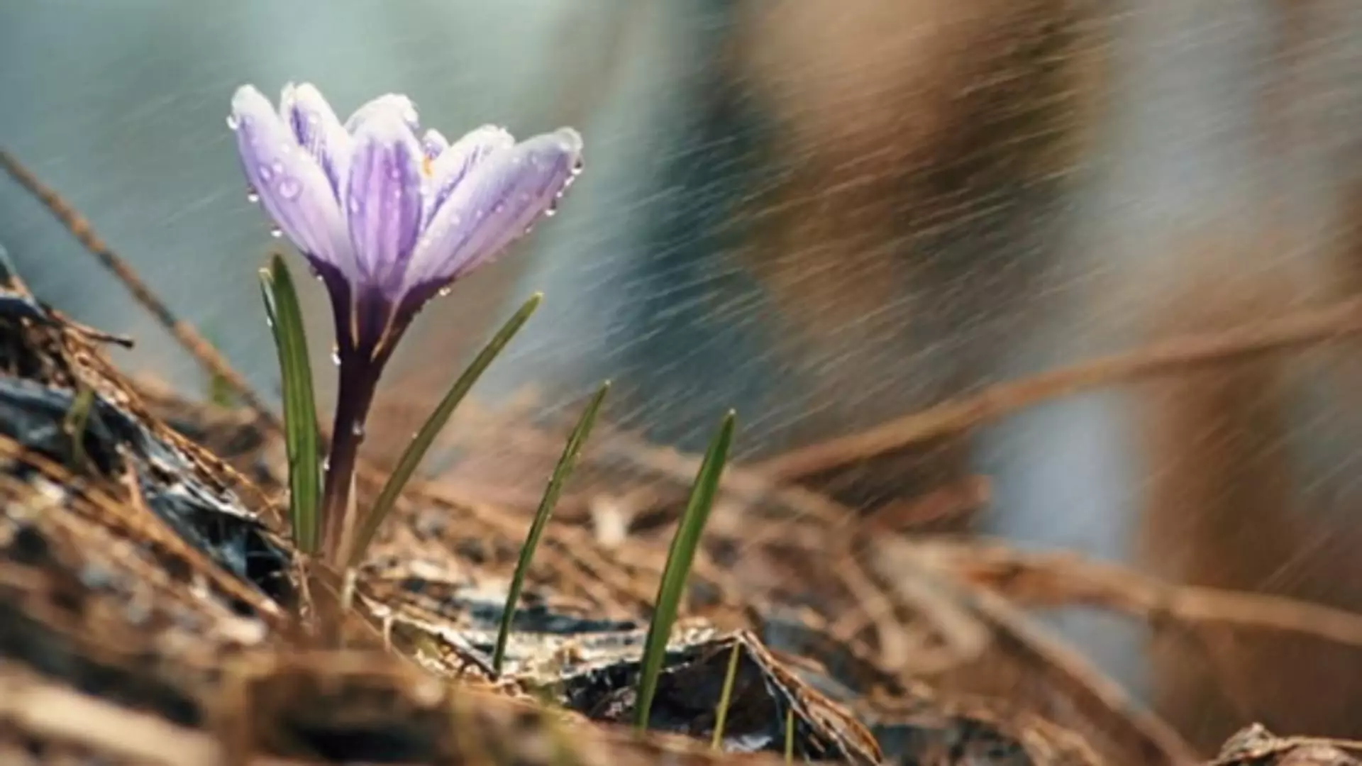 Prognoza meteo 19 aprilie
