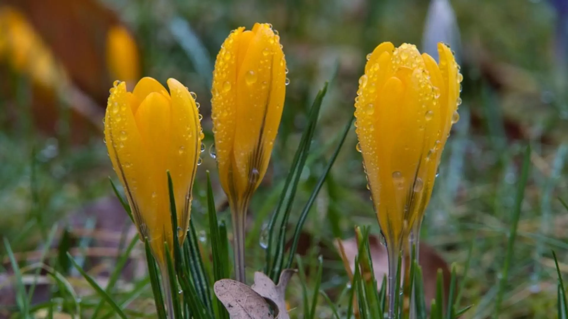 Prognoza meteo 14 aprilie