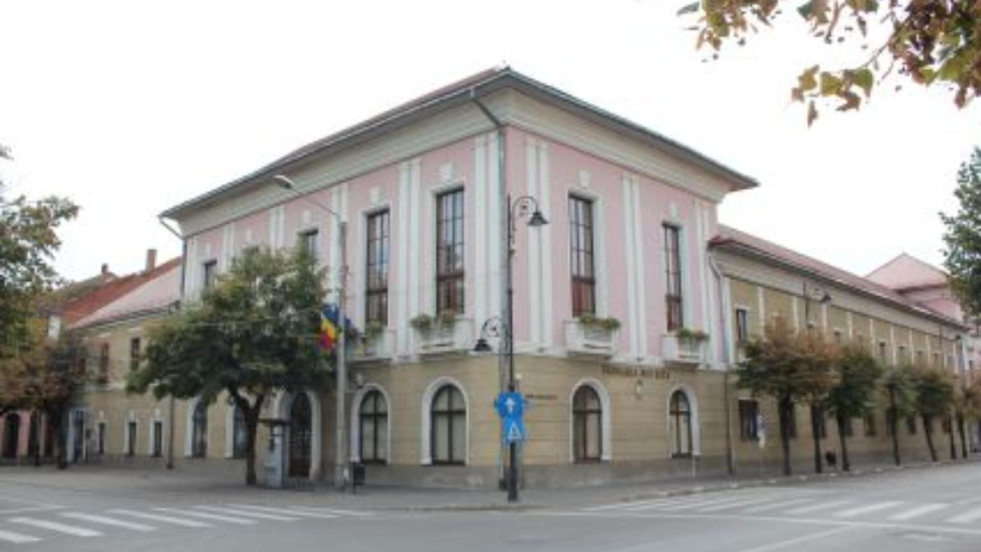 Primaria Bistrita