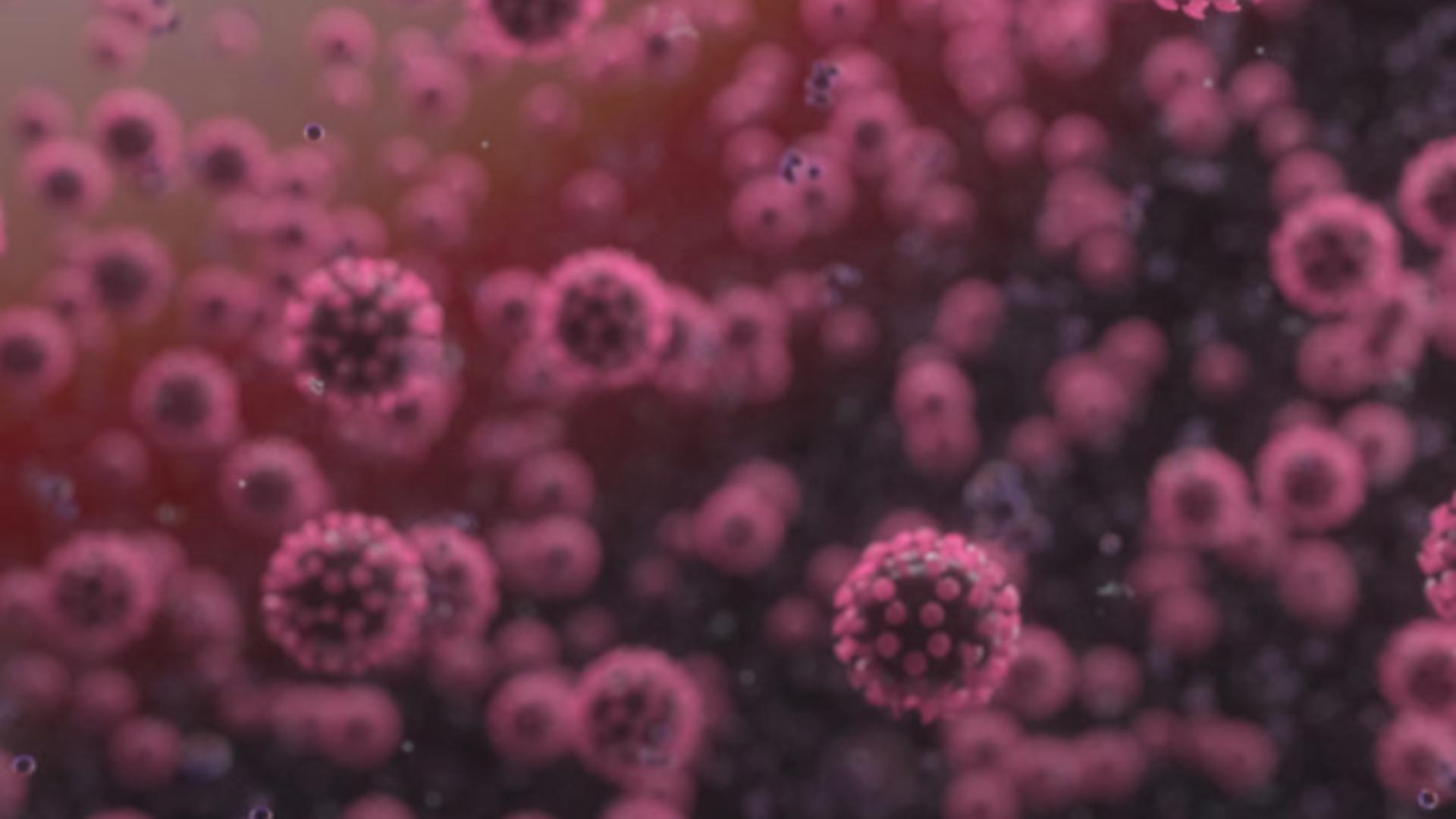 Coronavirusul, transmis prin celulele sistemul imunitar. CUM poate fi STOPATĂ infectarea - Descoperirea care poate schimba pandemia