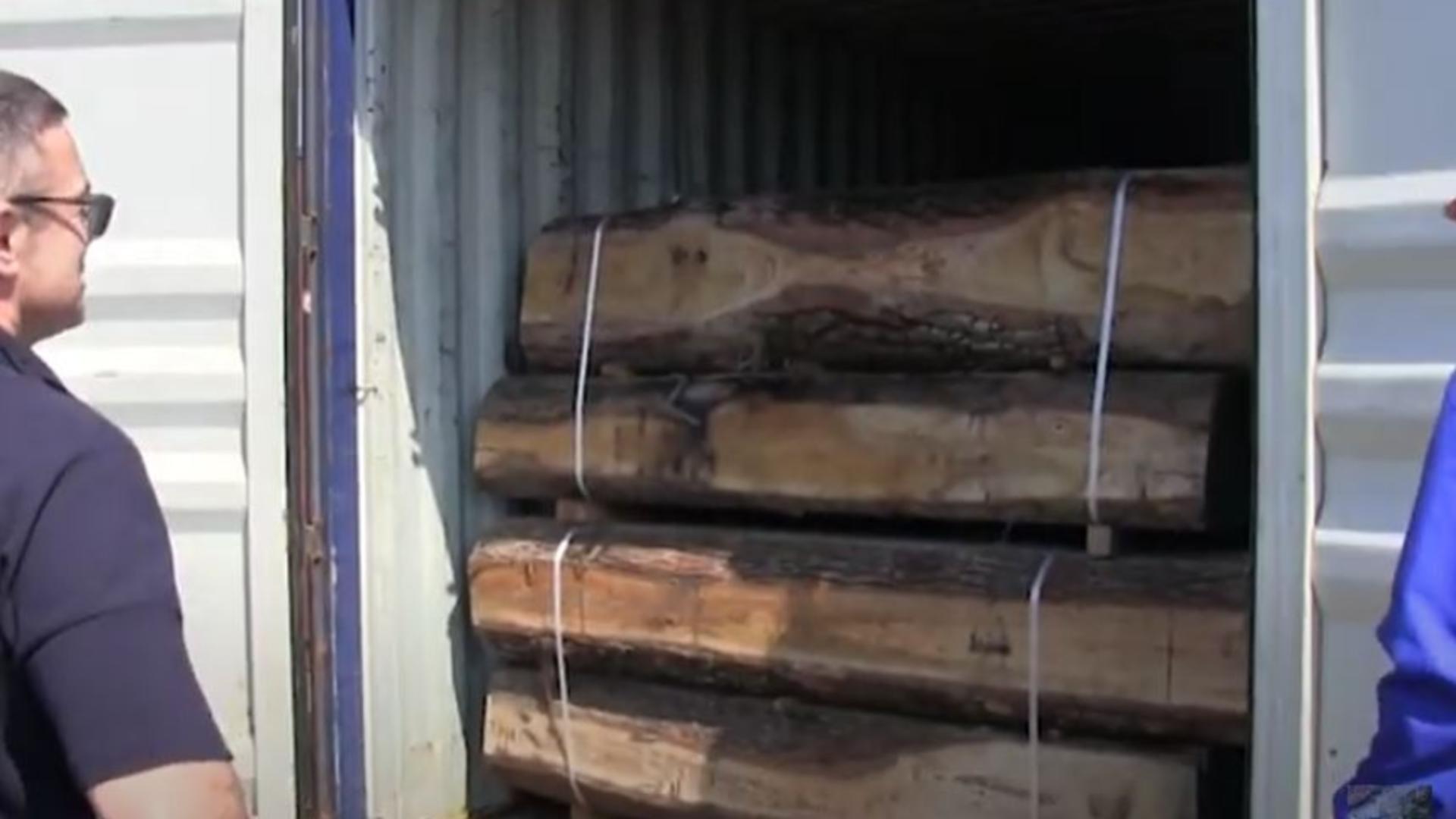 Export ilegal de lemn