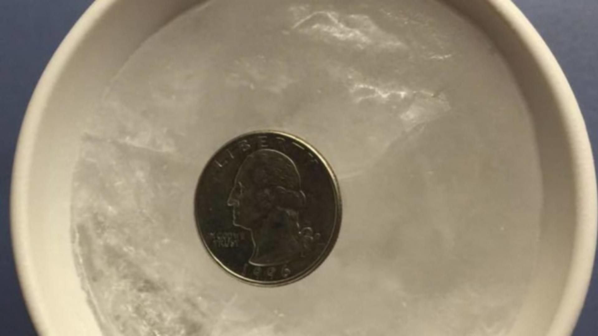 Monedă în frigider