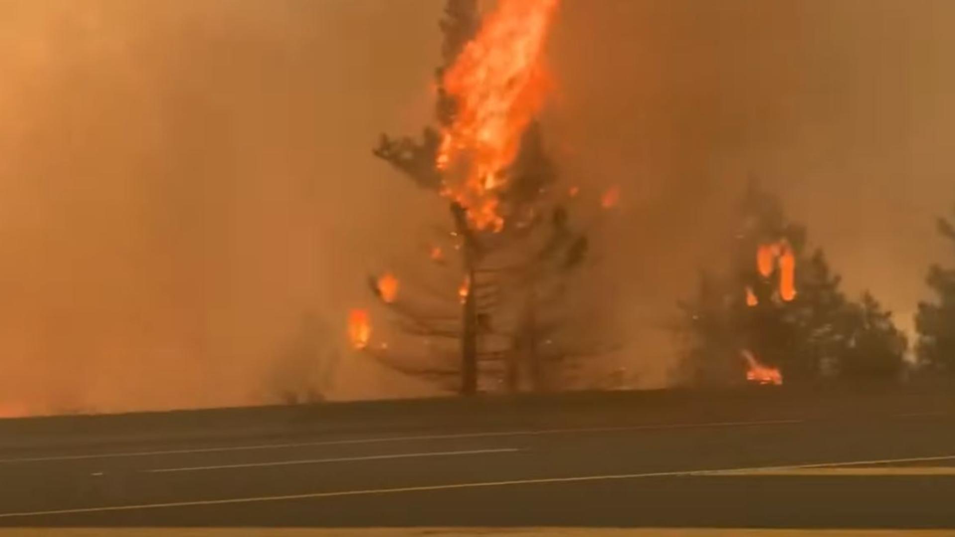 Incendiile de vegetație au cuprins un întreg oraș din Canada, unde au fost înregistrate temperaturi record de 49,6 grade Celsius.Foto/Captură video