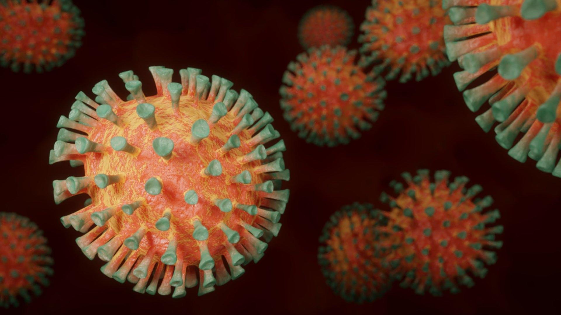 Focar de infectare cu Norovirus, în Brașov. Foto: Pixabay