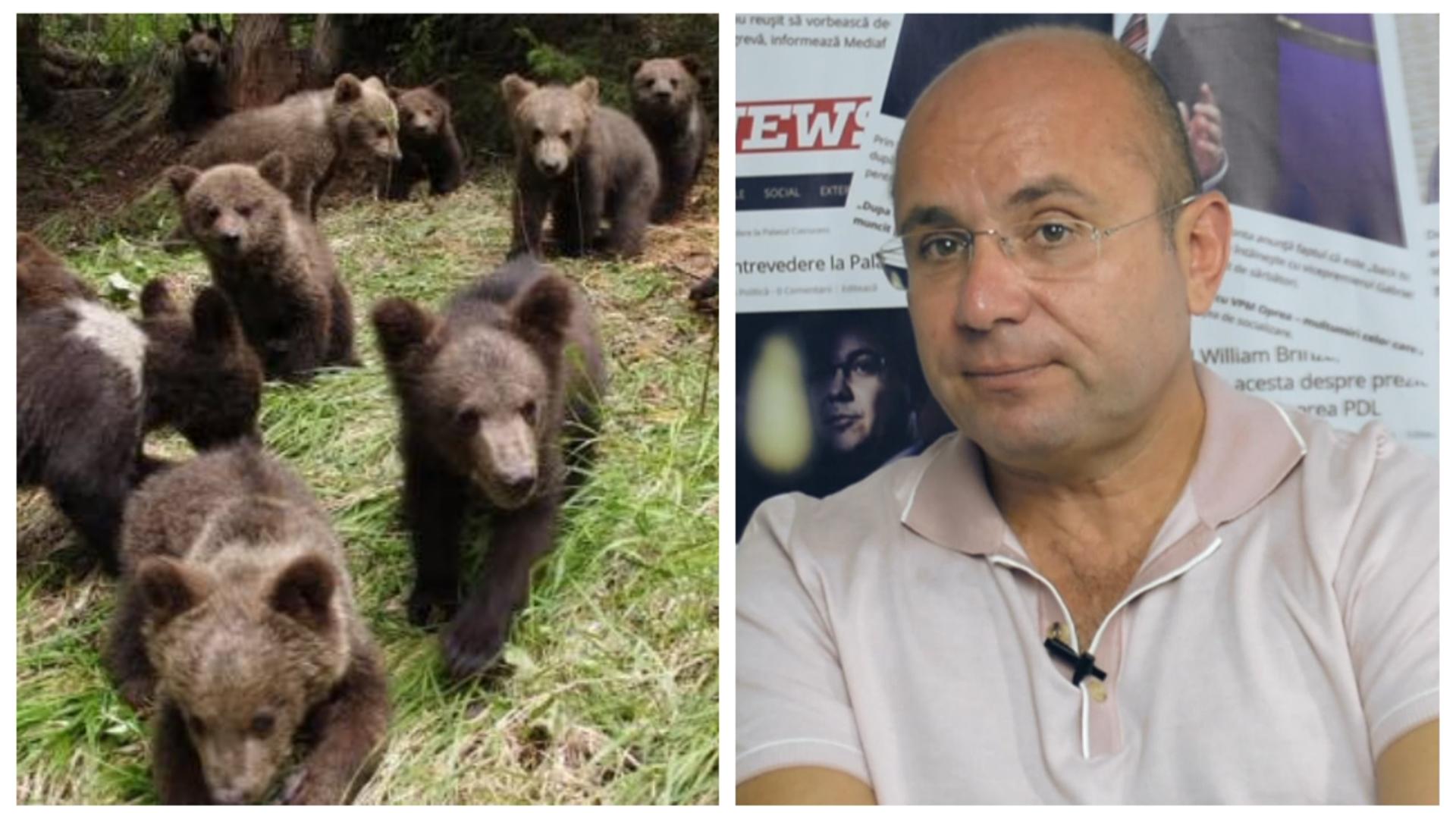 Gușă: Soluțiie privind urșii, nerealiste