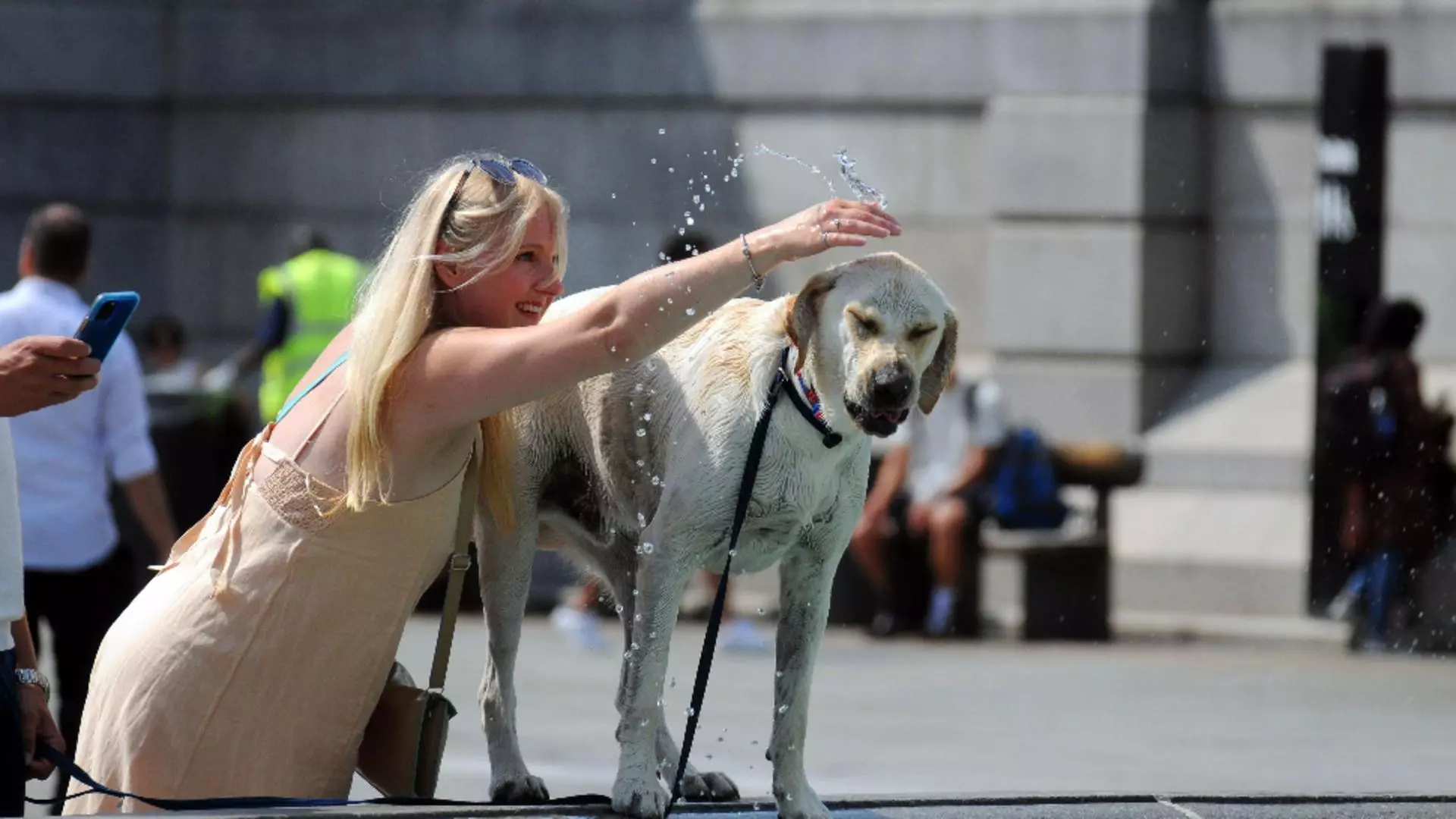 Foto arhivă. A doua cea mai călduroasă lună iulie înregistrată vreodată în Europa
