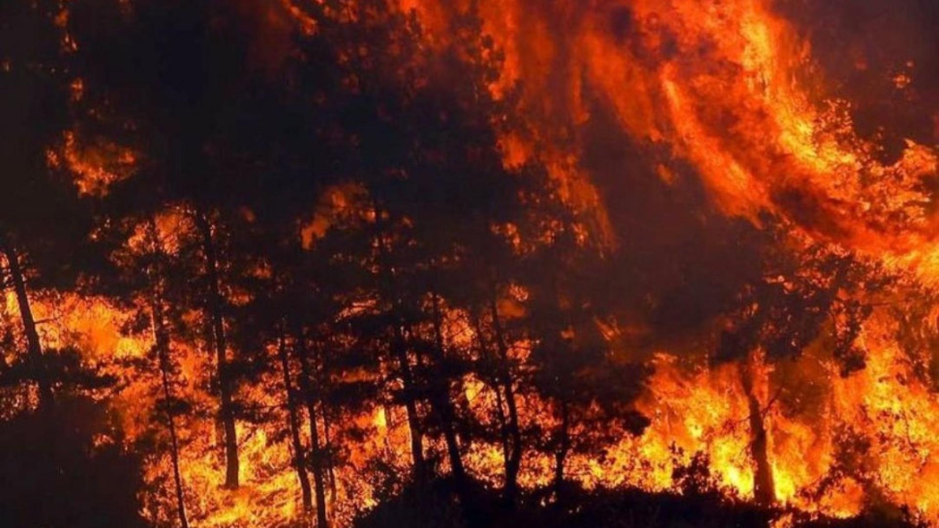 Incendii devastatoare în Macedonia de Nord