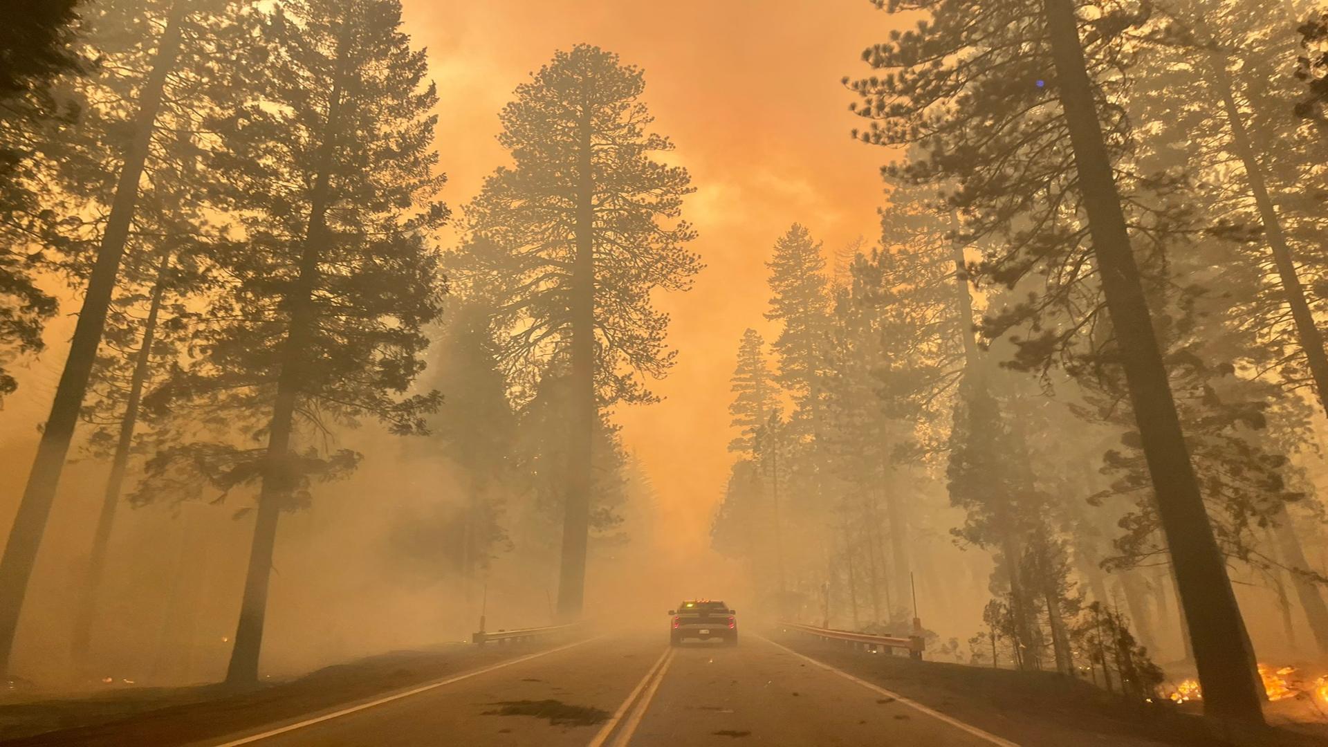 Incendiul Dixie Fire, California / Foto: Twitter Stuart Palley (fotograf)