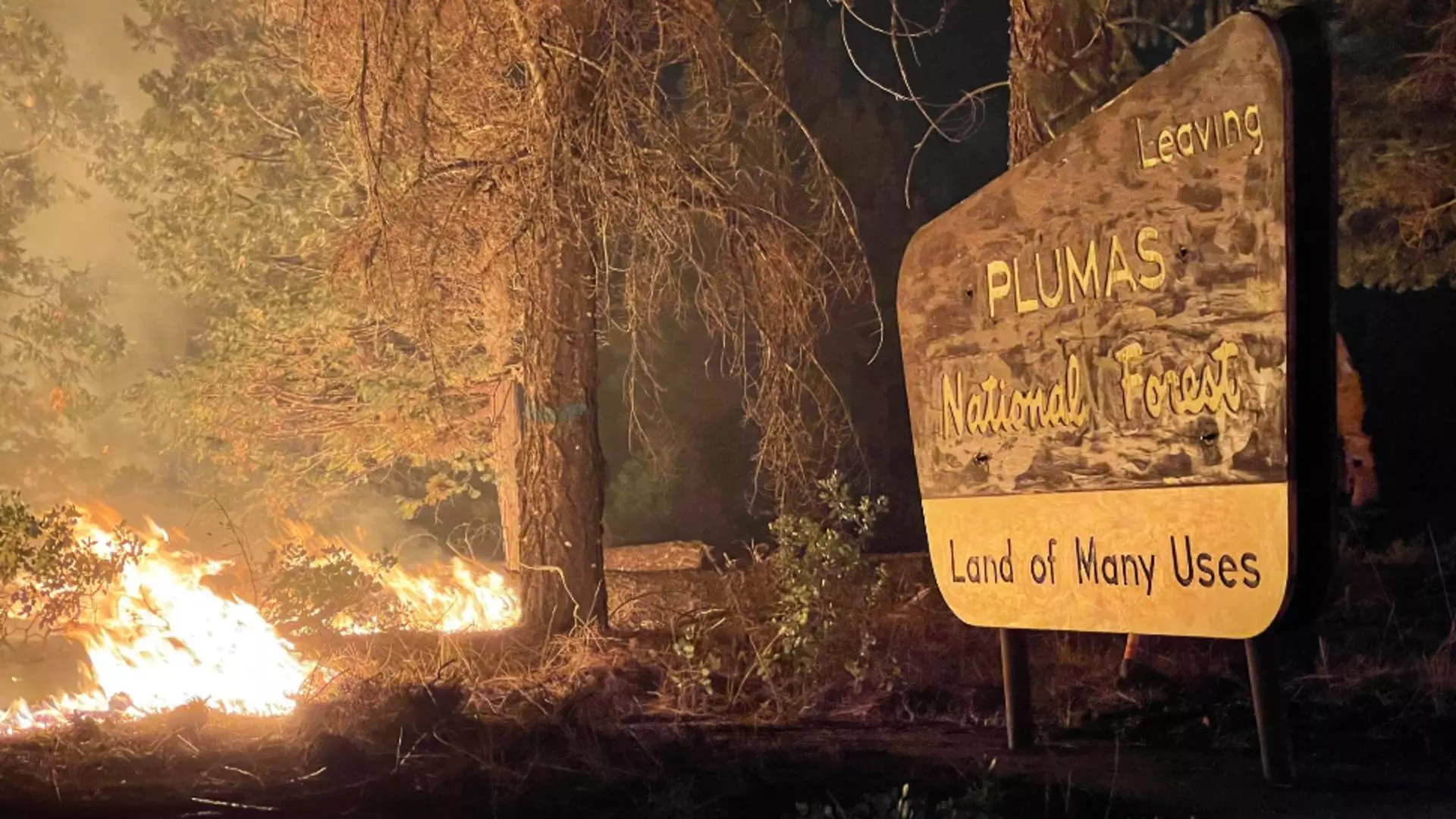 Incendiul Dixie Fire, California / Foto: Twitter Stuart Palley (fotograf)