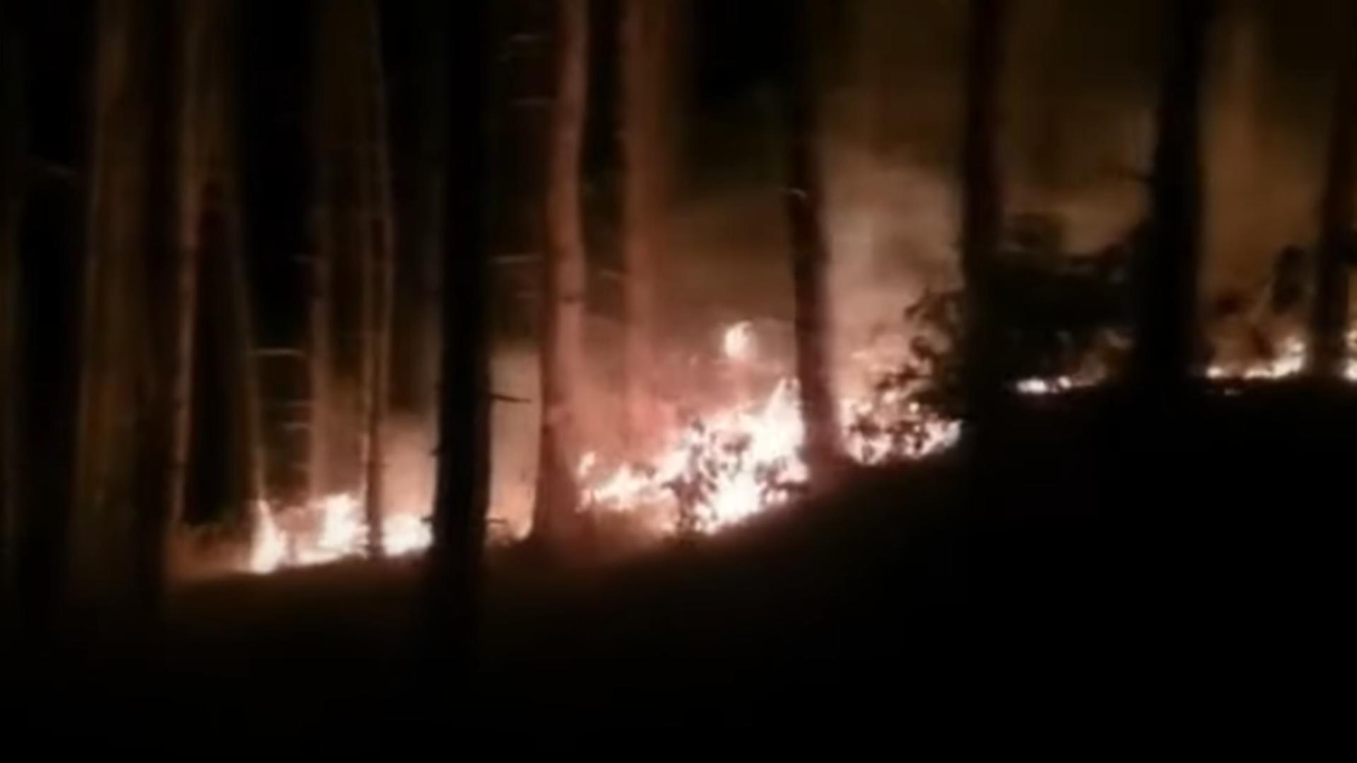 Incendiu de pădure județul Alba / Captură foto