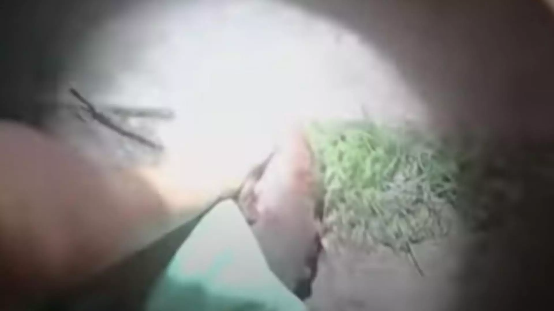 Jacob Brown, bătut cu lanterna în cap de 18 ori în 24 de secunde. Foto/Captură video