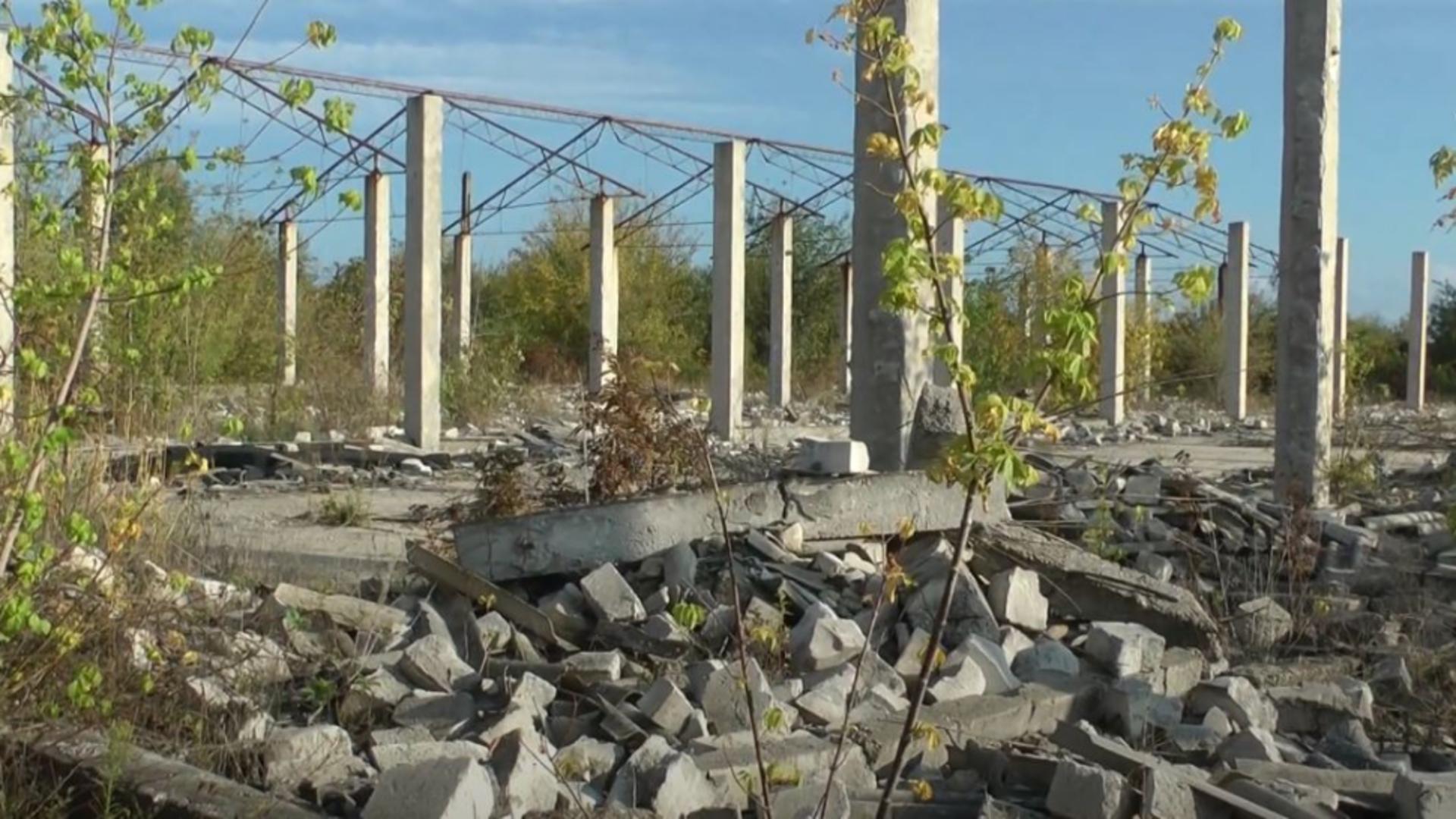 Fosta fabrică de conserve din Calafată a ajuns o ruină. Foto/Captură video