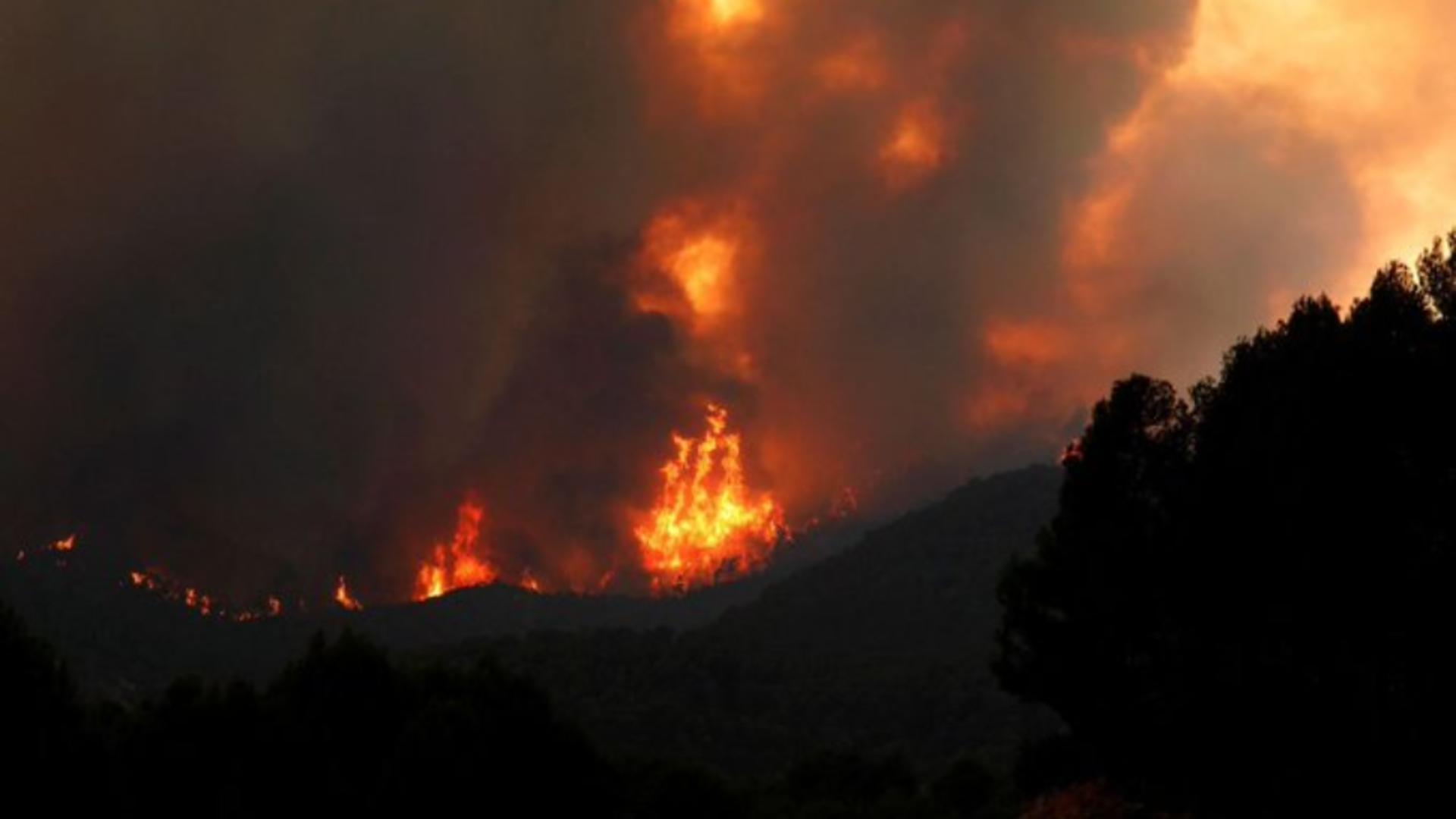 Incendii DEVASTATOARE în Europa din cauza caniculei - Zeci de morți și sute de răniți Foto: Twitter