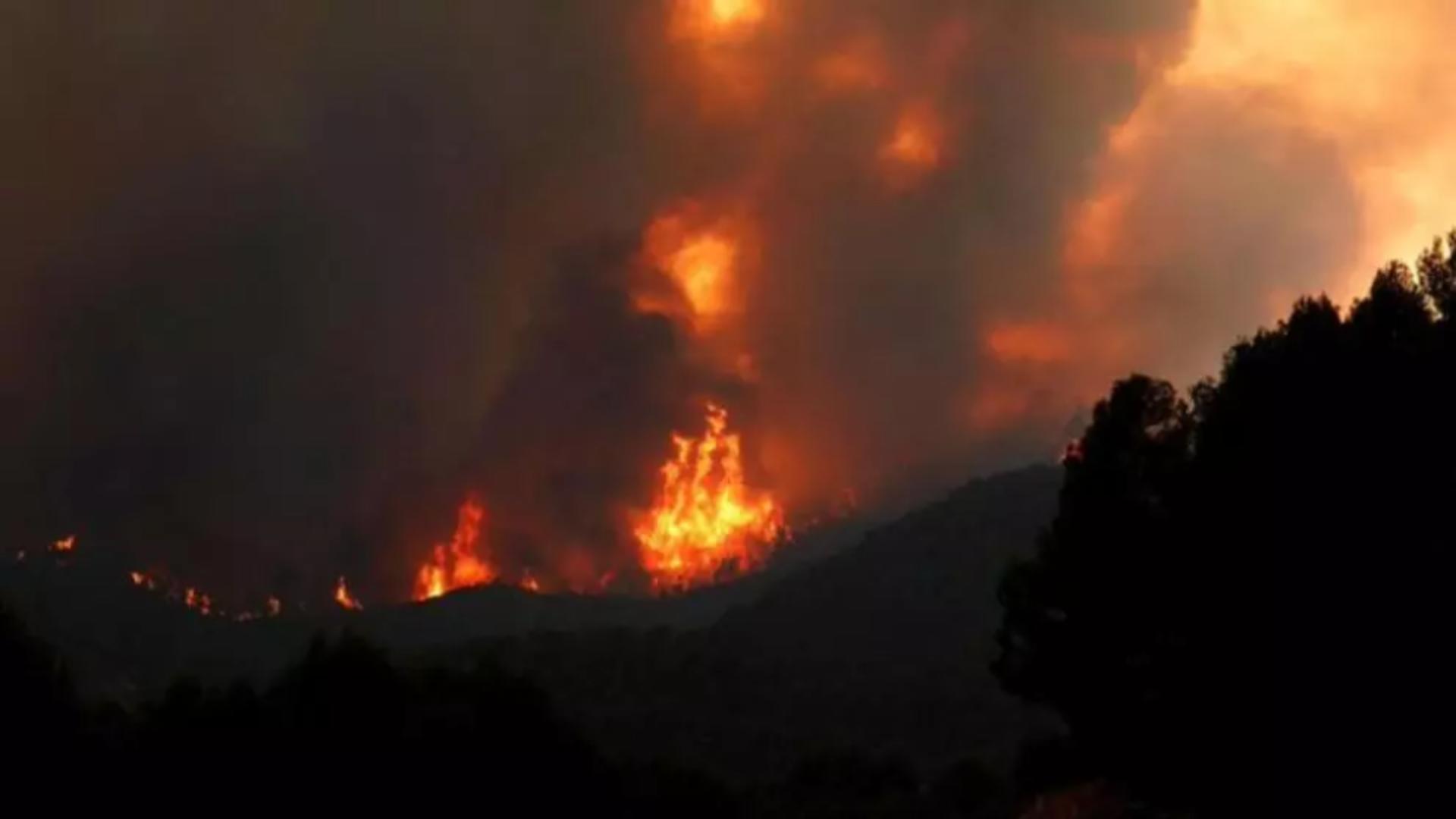 Incendii de vegetație în Europa. Foto: Twitter