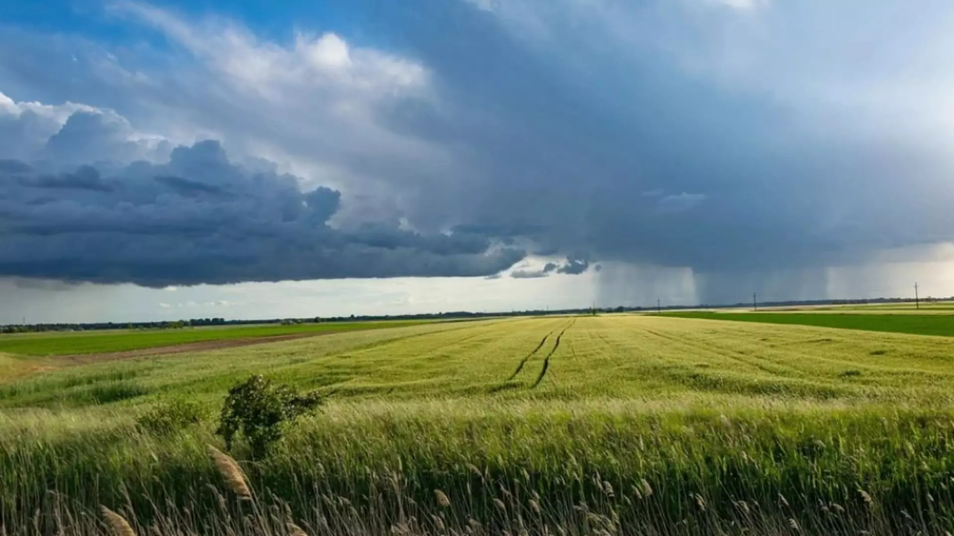 Fenomene meteo extreme